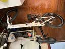 大行（DAHON）P8折叠自行车20英寸8级变速单车KBC083 白色经典版--京仓 实拍图