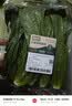 七鲜24小时油麦菜300g 实拍图