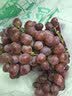 京鲜生 云南克伦生无籽红提 尝鲜装2-2.3斤 爽脆爽口 皮薄可食 新鲜水果 实拍图