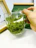 贝知春碧螺春2026新茶特级一级全芽自己喝口粮茶明前绿茶嫩芽送领导长辈 实拍图