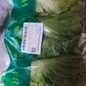 【烧烤季】钟灵山罗马生菜400g 实拍图