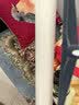 初舍（CHUSHE）粘毛器30cm滚筒刷4卷240撕长杆宠物猫狗地毯沙发毛发吸猫毛神器 实拍图