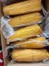 京鲜生 东北黄玉米260g*10棒 真空包装黏玉米棒粘玉米 源头直发 实拍图