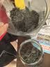十月稻田 熟黑芝麻 500g 开罐即食 可打芝麻粉芝麻糊 五谷杂粮 实拍图