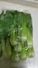 上海青约500g(油菜) 实拍图