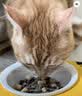 京东京造全价成猫猫粮海洋鱼2kg 鱼油美毛 幼猫粮 明日达 实拍图