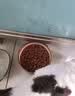 皇家猫粮 成猫猫粮 室内长毛猫 ILH35 通用粮 1-7岁 4.5KG 实拍图