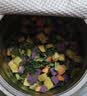 WEYES冻干蔬菜桶60g狗狗猫咪宠物零食犬粮伴侣营养维生素膳食纤维 实拍图