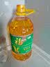 福临门 食用油 非转基因压榨玉米油4L 中粮出品 PLUS会员专享 实拍图