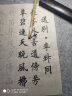 中宣堂（zhongxuantang） 中宣堂毛笔字帖 入门临摹欧体楷书中楷字帖诗词 文房四宝套装 白居易+陋室铭+李白+文天祥+李清照 字帖套装含笔+墨+碟+毡 实拍图