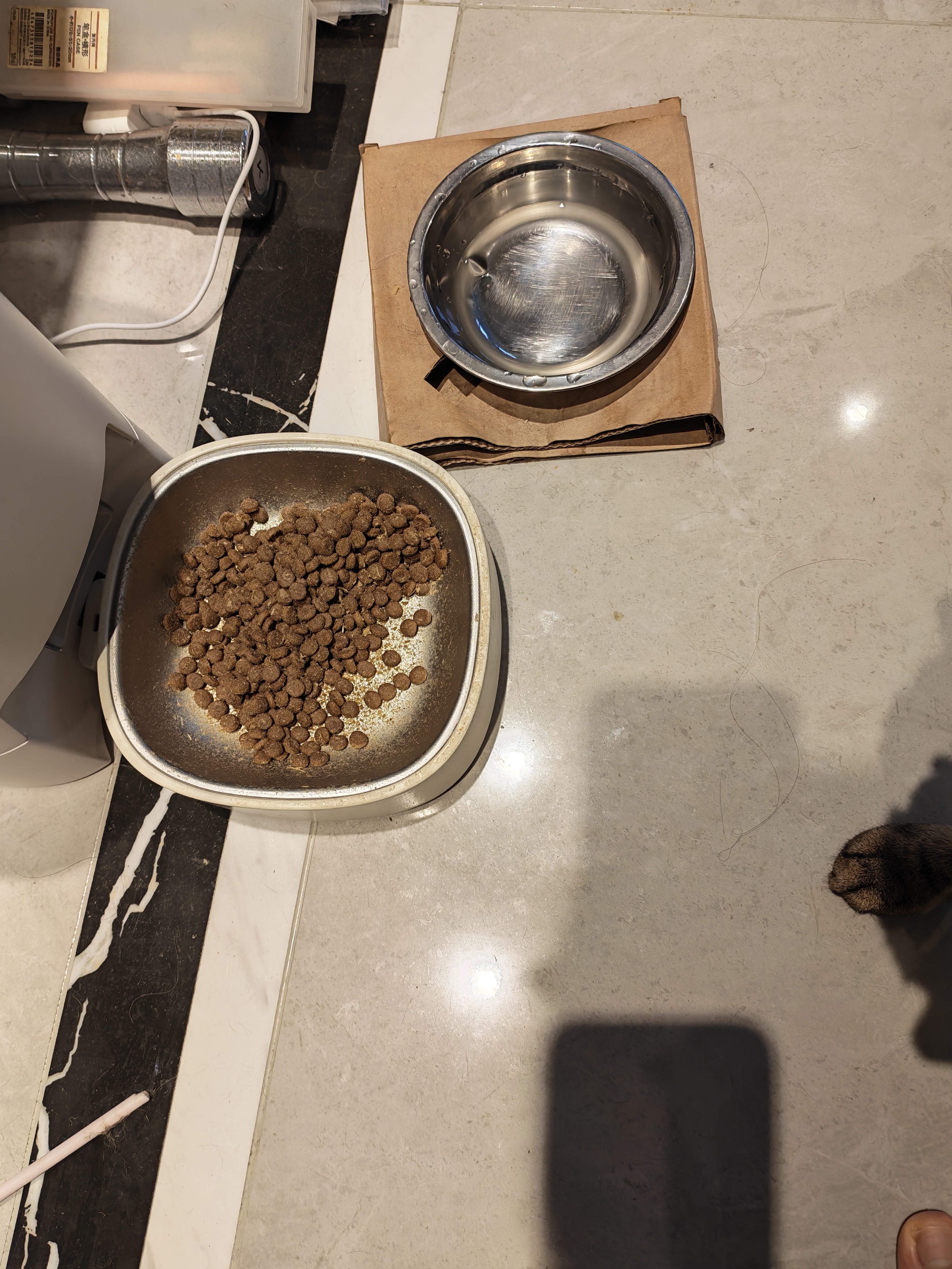 顽皮 【欧阳娜娜试用专属福利】小金盾100%鲜肉全价猫粮100g鸡肉配方 实拍图