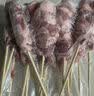 THOMAS FARMS澳洲原切羔羊排肉串 净重1斤 25g*20串 草地散养羊肉 烧烤烤肉 实拍图