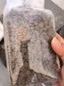 Orijen【多猫家庭】渴望猫粮  成猫幼猫粮 原味鸡肉进口7.2kg效期27/6 实拍图