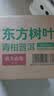 农夫山泉东方树叶青柑普洱茶500ml*15瓶无糖茶饮料0糖0脂0卡整箱 实拍图