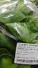 上海青约500g(油菜) 实拍图