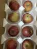 京觅四川大凉山丑苹果  16枚单果65mm+新鲜水果冰糖心苹果 源头直发 实拍图