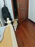 皇家猫粮 成猫猫粮 室内长毛猫 ILH35 通用粮 1-7岁 4.5KG 实拍图