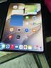 Apple/苹果 iPad Pro 11英寸 M5芯片 2025年新款平板电脑 256G WLAN版 银色 实拍图