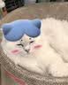 LEGENDSANDY蓝氏猎鸟乳鸽生骨肉冻干猫粮 全价成猫幼猫猫粮 盒装4.5kg 实拍图