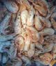 禧美海产头籽北极甜虾2斤/盒 120/150 头籽率参考50%  MSC认证 聚餐 实拍图