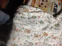 南极人（Nanjiren）婴儿分腿恒温睡袋秋冬中大童防踢被子宝宝家居服竹棉睡衣130码 实拍图