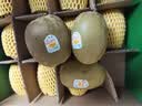 佳沛（zespri）金奇异果25-27粒原箱特大果124-146g猕猴桃水果礼盒 实拍图