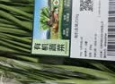 有机韭菜 250g 实拍图