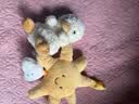Jellycat甜美小鸭可爱公仔动物毛绒玩偶小玩偶陪伴娃娃送礼生日新婚礼物 甜美小鸭 One Size 实拍图