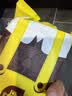 史丹利椰糠砖650g 椰土砖椰砖营养土脱盐花土耶砖种菜通用型 实拍图