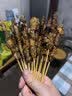 鲜京采惠选 内蒙古孜然羊肉串净重2斤（约50串） 户外烧烤 实拍图