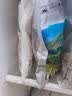 高金食品 猪肘子净重1.1kg贵州跑山猪猪前肘子猪蹄膀猪肘子  猪肉生鲜 实拍图