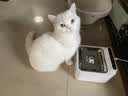小甜橙猫咪饮水机无线智能宠物饮水机自动喝水器锂电池循环循环 实拍图