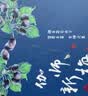 京鲜生 新疆喀什法兰西西梅 净重3斤 单果16g  生鲜礼盒 实拍图
