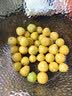 京觅东北姑娘果 净重4.5斤装 灯笼果黄菇娘洋菇茑 新鲜水果 源头直发 实拍图