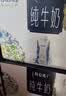 蒙牛特仑苏嗨Milk脱脂纯牛奶250ml*10盒 0脂肪 精美京绣 送礼礼盒 实拍图
