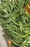蒿子杆300g(茼蒿） 实拍图