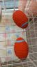 宜特（EETOYS）小号乳胶橄榄球狗狗玩具趣味发声洁齿球乳胶球宠物狗玩具 实拍图