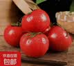 普罗旺斯西红柿约500g 实拍图