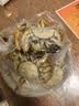 【活蟹】漁家师傅大闸蟹全母3.0-3.3两8只去绳足重鲜活螃蟹现货生鲜水产礼盒金秋送礼 实拍图