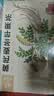 忆江南苹果黄芪水麦冬须根枸杞茶150g补茶包气血秋季养生茶茶包红枣 实拍图