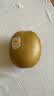 佳沛（zespri）新西兰金奇异果10粒巨大果146-175g猕猴桃水果礼盒 实拍图