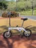 大行（DAHON）BYA412 白色折叠自行车14英寸超轻迷你便携小轮男女式单车 实拍图