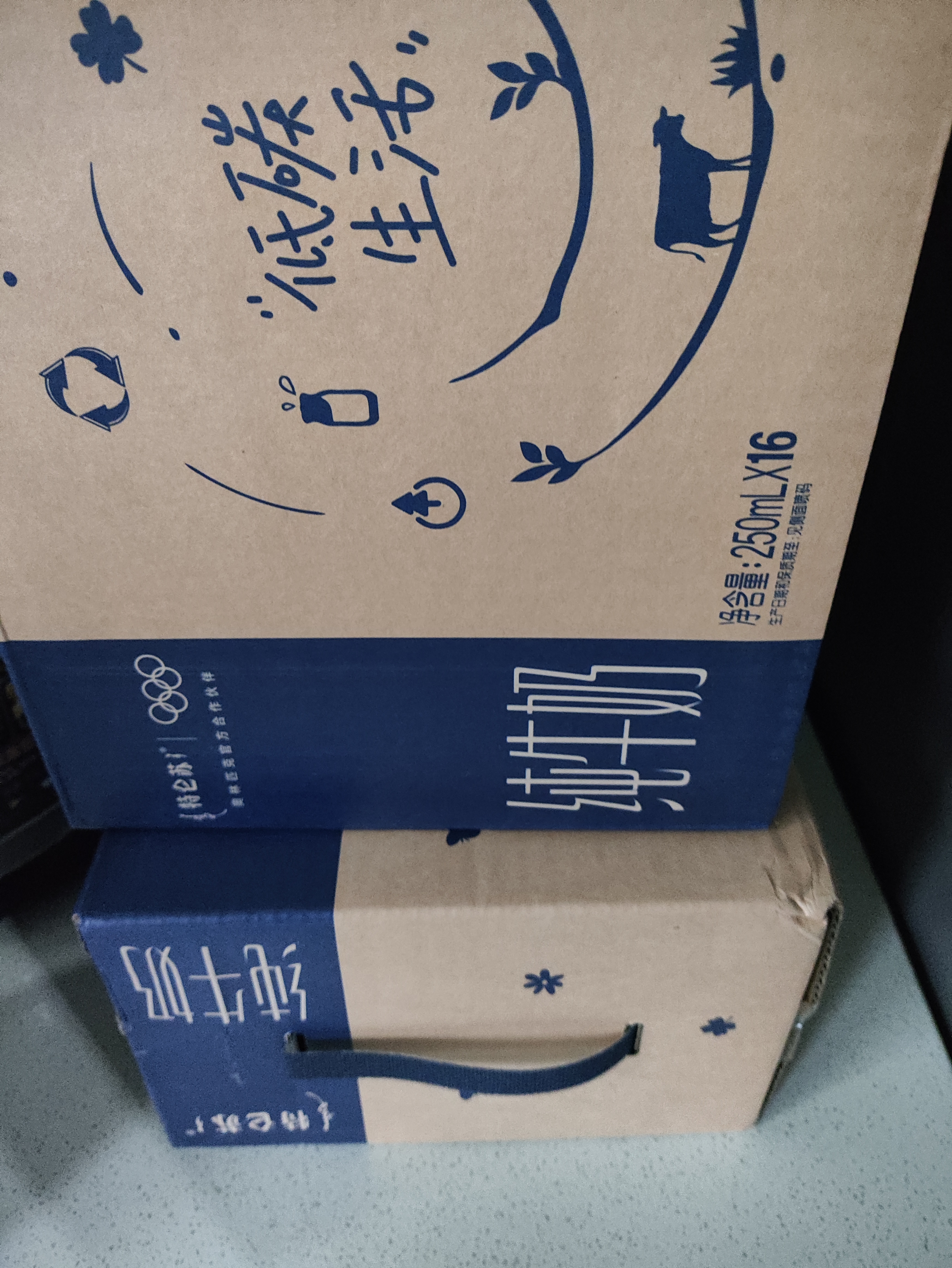 蒙牛【新鲜日期】特仑苏纯牛奶250ml*16盒 3.6g蛋白 送礼礼盒 实拍图