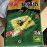 榄菊粘蝇纸30片装 粘苍蝇板粘蝇胶捕蝇灭蝇器 苍蝇贴 实拍图