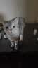 LEGENDSANDY蓝氏全价猫粮成猫幼猫生骨肉冻干粮 猎鸟乳鸽500g 实拍图