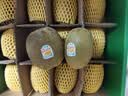 佳沛（zespri）金奇异果25-27粒原箱特大果124-146g猕猴桃水果礼盒 实拍图