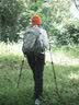 Naturehike挪客初雪EXT1三节碳素登山杖碳纤维户外伸缩徒步专业登山杖外锁 实拍图