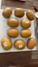 佳沛（zespri）新西兰金奇异果10粒巨大果146-175g猕猴桃水果礼盒 实拍图