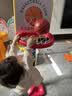 babycare儿童篮球架室内家用可升降篮球框宝宝投篮架宝宝户外运动六一礼物 实拍图