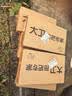 大卫可折叠拖把桶10L大容量加厚桶身长方形水桶可折叠清洁桶R3 实拍图